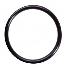 O-ring N04735